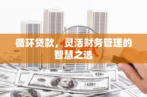 雨山循环贷款，灵活财务管理的智慧之选