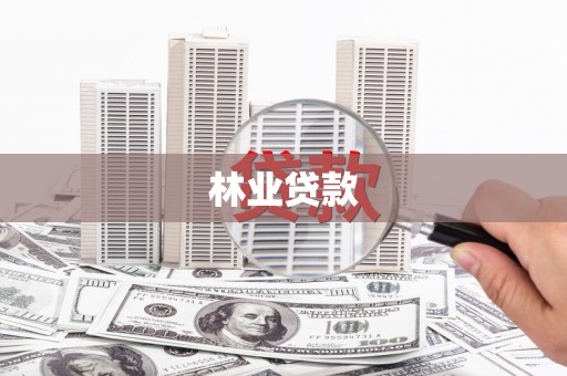雨山林业贷款