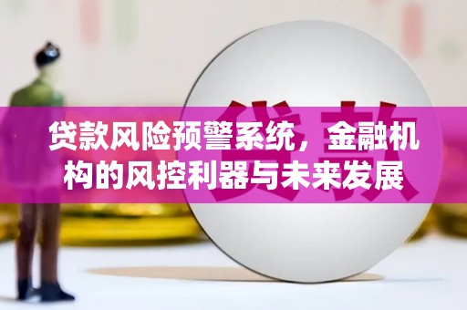 雨山贷款风险预警系统，金融机构的风控利器与未来发展