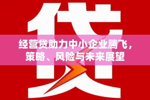 雨山经营贷助力中小企业腾飞，策略、风险与未来展望