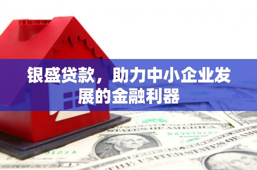 雨山银盛贷款，助力中小企业发展的金融利器