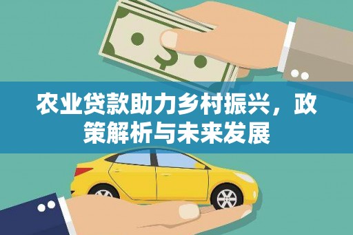 雨山农业贷款助力乡村振兴，政策解析与未来发展