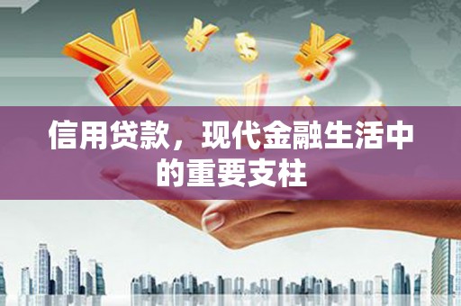 雨山信用贷款，现代金融生活中的重要支柱