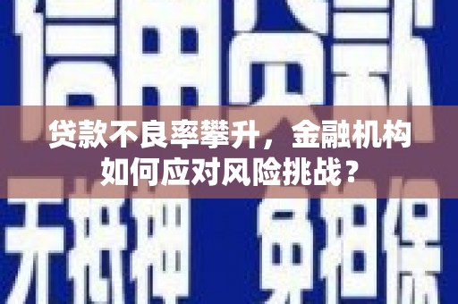 雨山贷款不良率攀升，金融机构如何应对风险挑战？