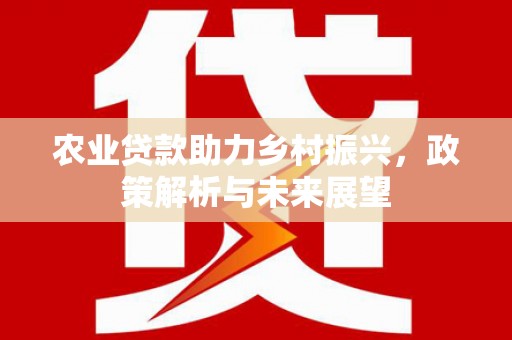 雨山农业贷款助力乡村振兴，政策解析与未来展望