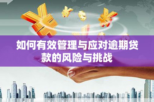雨山如何有效管理与应对逾期贷款的风险与挑战