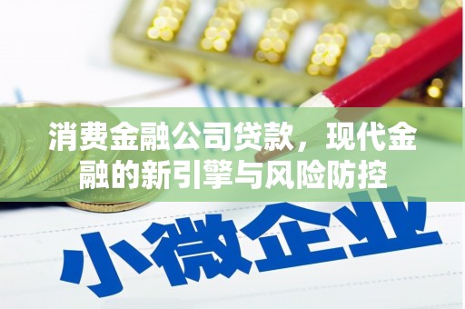雨山消费金融公司贷款，现代金融的新引擎与风险防控