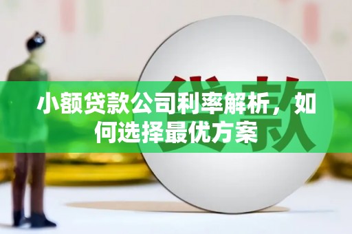 雨山小额贷款公司利率解析，如何选择最优方案