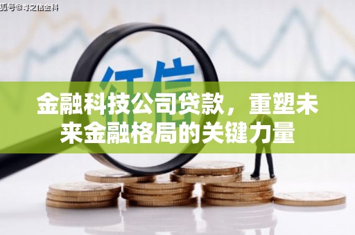 雨山金融科技公司贷款，重塑未来金融格局的关键力量