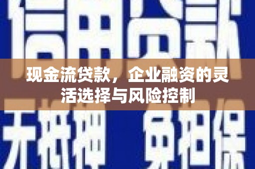 雨山现金流贷款，企业融资的灵活选择与风险控制