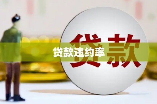 雨山贷款违约率