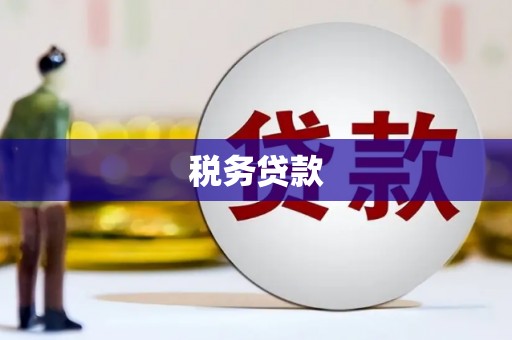 雨山税务贷款