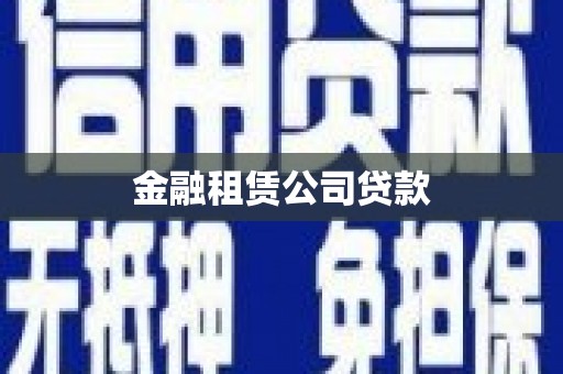 雨山金融租赁公司贷款