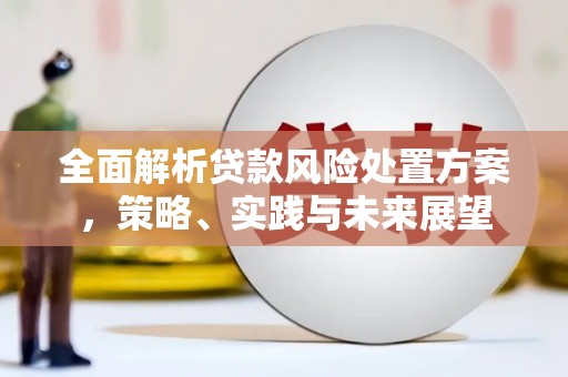 雨山全面解析贷款风险处置方案，策略、实践与未来展望