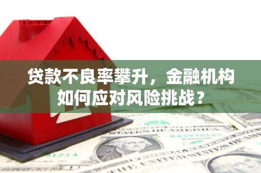 雨山贷款不良率攀升，金融机构如何应对风险挑战？