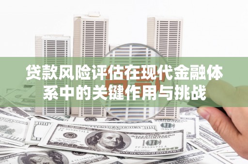 雨山贷款风险评估在现代金融体系中的关键作用与挑战