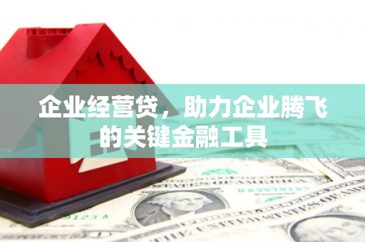 雨山企业经营贷，助力企业腾飞的关键金融工具