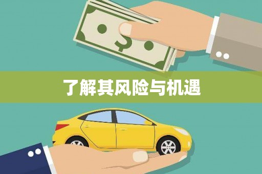 雨山了解其风险与机遇