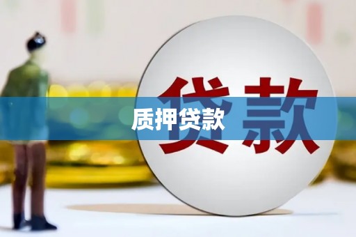 雨山质押贷款