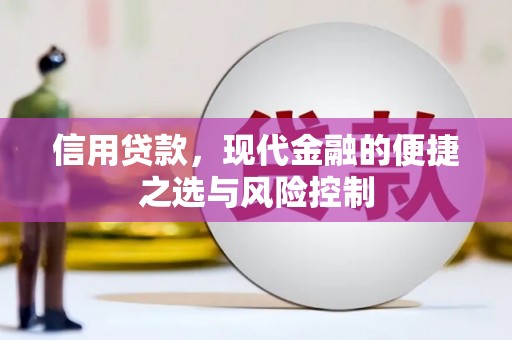雨山信用贷款，现代金融的便捷之选与风险控制