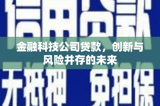 雨山金融科技公司贷款，创新与风险并存的未来
