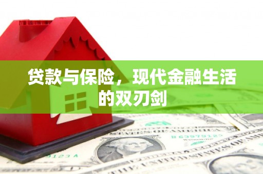 雨山贷款与保险，现代金融生活的双刃剑