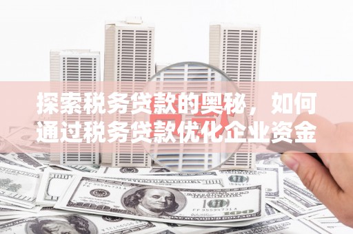 雨山探索税务贷款的奥秘，如何通过税务贷款优化企业资金流