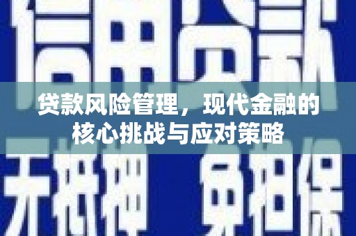 雨山贷款风险管理，现代金融的核心挑战与应对策略