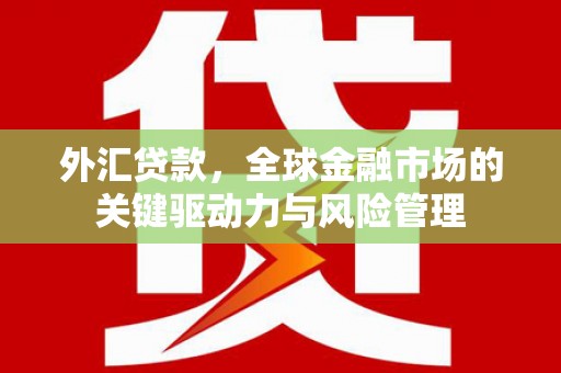 雨山外汇贷款，全球金融市场的关键驱动力与风险管理