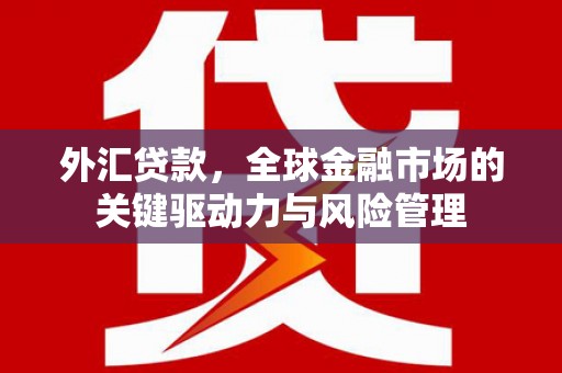 雨山外汇贷款，全球金融市场的关键驱动力与风险管理