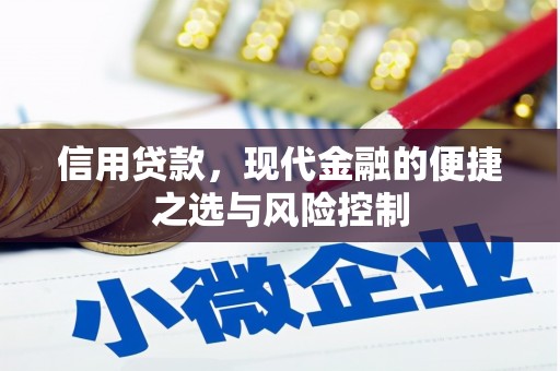 雨山信用贷款，现代金融的便捷之选与风险控制