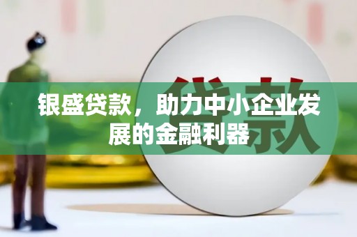 雨山银盛贷款，助力中小企业发展的金融利器