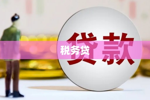 雨山税务贷