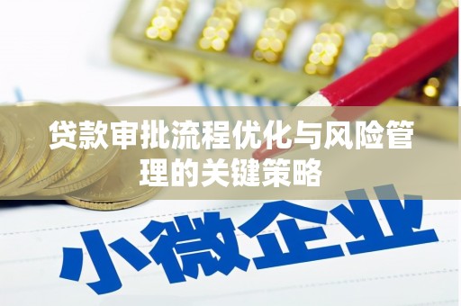 雨山贷款审批流程优化与风险管理的关键策略