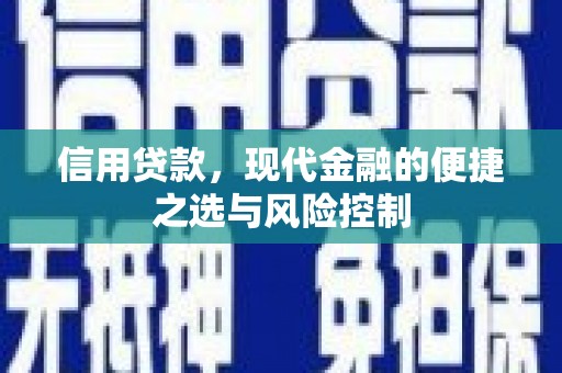 雨山信用贷款，现代金融的便捷之选与风险控制