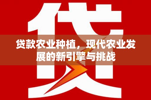 雨山贷款农业种植，现代农业发展的新引擎与挑战