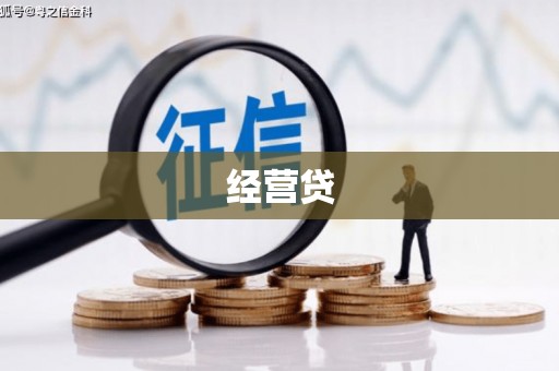 雨山经营贷