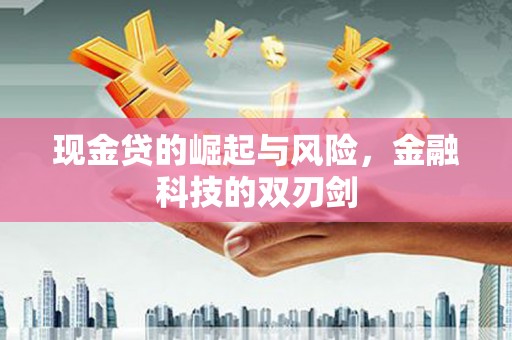 雨山现金贷的崛起与风险，金融科技的双刃剑