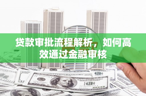 雨山贷款审批流程解析，如何高效通过金融审核