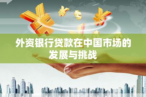 雨山外资银行贷款在中国市场的发展与挑战