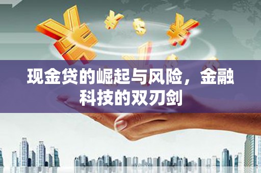 雨山现金贷的崛起与风险，金融科技的双刃剑