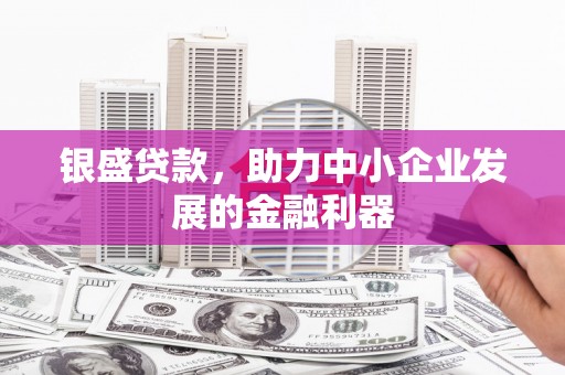 雨山银盛贷款，助力中小企业发展的金融利器