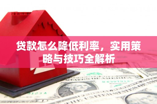 雨山贷款怎么降低利率，实用策略与技巧全解析