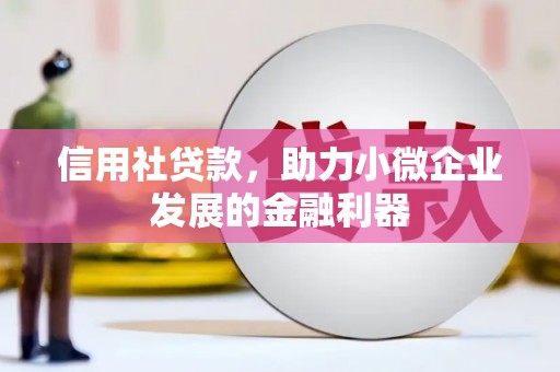 雨山信用社贷款，助力小微企业发展的金融利器