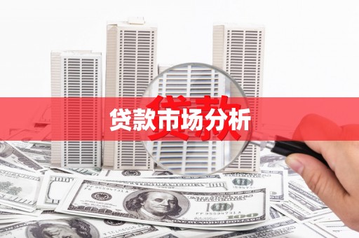 雨山贷款市场分析