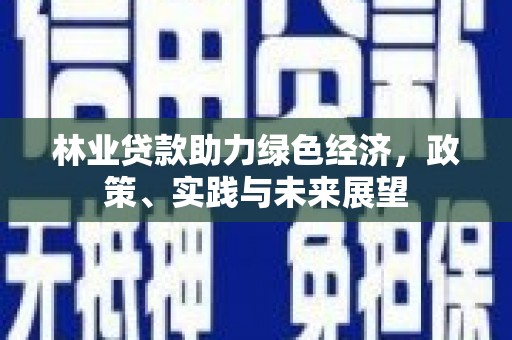 雨山林业贷款助力绿色经济，政策、实践与未来展望