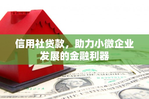 雨山信用社贷款，助力小微企业发展的金融利器