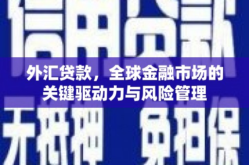 雨山外汇贷款，全球金融市场的关键驱动力与风险管理