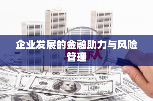 雨山企业发展的金融助力与风险管理
