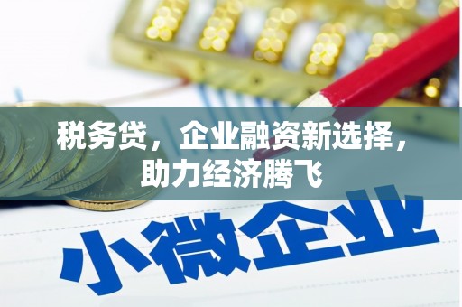 雨山税务贷，企业融资新选择，助力经济腾飞